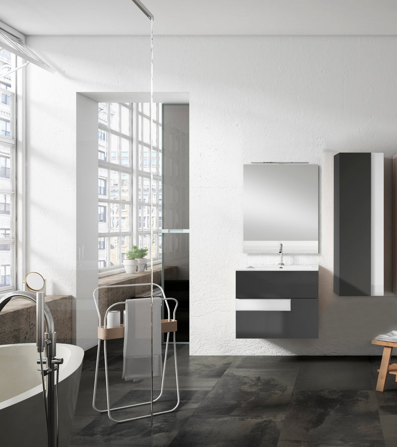 Vision Vanity 24" Grey and White