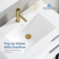 1-1/4” Brass Pop-up with Overflow Gold