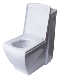 EAGO Modern One Piece High Efficiency Low Flush Eco Friendly Toilet