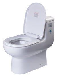EAGO One Piece Dual Flush High Efficiency Low Flush White Toilet