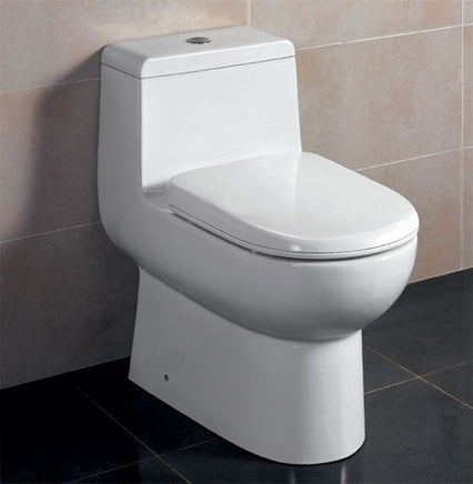 EAGO One Piece Dual Flush High Efficiency Low Flush White Toilet