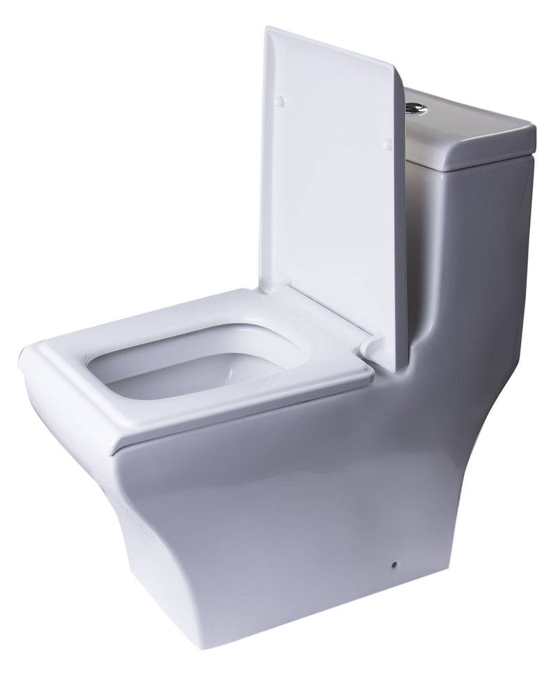 EAGO White Dual Flush High Efficiency Low Flush Eco-Friendly Toilet